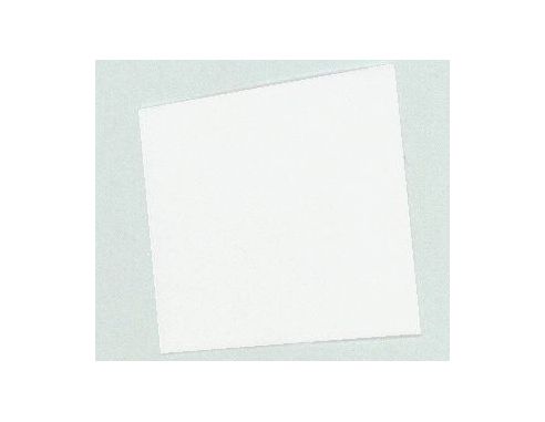Racing 43 RA048 FOGLIO PARASPRUZZI BIANCO 1/43 Modellino