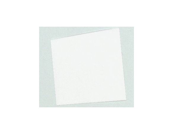 Racing 43 RA048 FOGLIO PARASPRUZZI BIANCO 1/43 Modellino