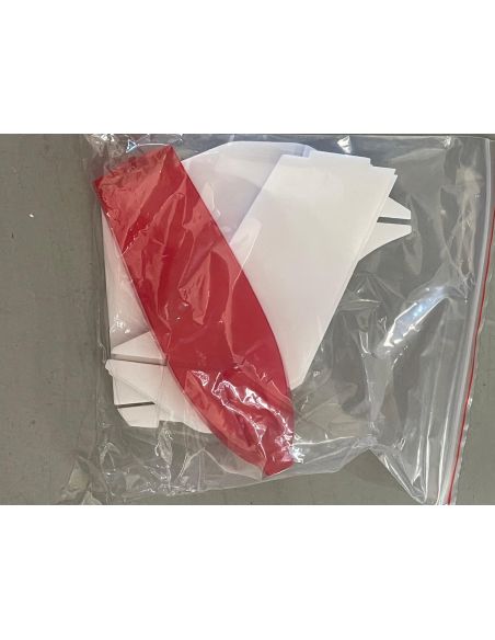 Barca Volante RTF Walkera Flying Boat 058 Hydrofoam Radiocomando