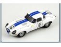 Spark Model S2105 JAGUAR E N.16 LM 1963 1:43 Modellino