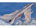 TRUMPETER 02208 FJ-6 SHENYANG Modellino