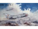 TRUMPETER 02803 MIG 19S FARMER C Modellino