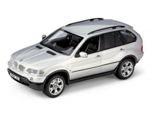 Welly WE1023 BMW X 5 2003 SILVER 1:18 Modellino