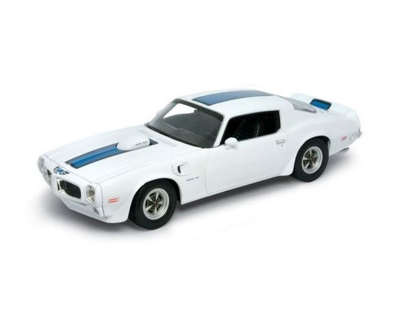 Welly WE1866 PONTIAC FIREBIRD TRANS AM 1972 1:18 Auto Stradali