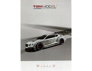 True Scale Miniatures TSMCAT2013 CATALOGO TRUE SCALE MINIATURE 2013 PAG.50 Modellino