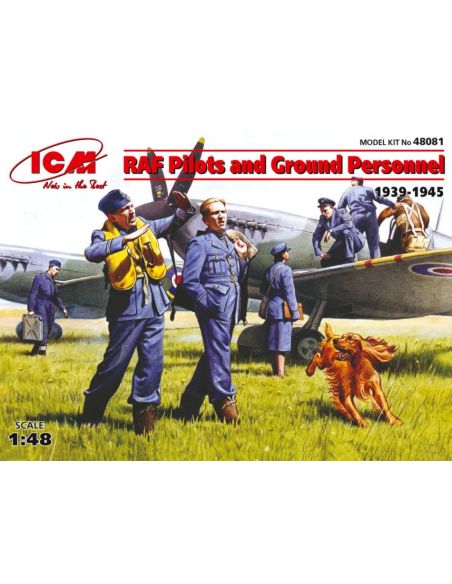 ICM ICM48081 ROYAL AIR FORCE PILOTI E ACCESS. kit 1:48 Modellino