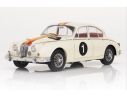 Model Icon MIC321006 JAGUAR MARK II ATCC 1962 N.1 RACING BOB JANE 1:18 Modellino
