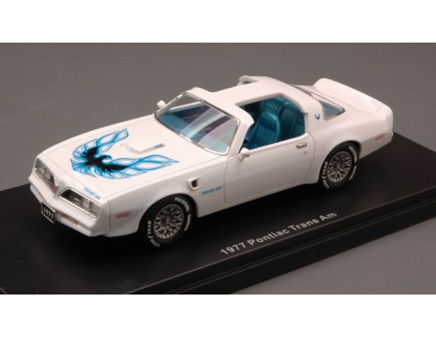Auto World AWR1116 PONTIAC TRANS AM 1977 WHITE 1:43 Modellino