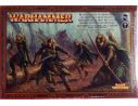 Games Workshop Warhammer 92-05 REGGIMENTO DI GUARDIA DELLE RADURE DEGLI ELFI SILVANI Personaggi Modellino
