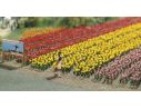 BUSCH 1206 PIANTE: 120 TULIPANI  HO Modellino