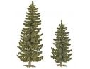BUSCH 6133 ALBERI  PINI 2 PEZZI 90 e 120 mm Modellino