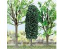 BUSCH 6169 ALBERO mm 210  HO Modellino