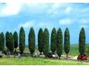 BUSCH 6229 ALBERI 10 PEZZI  mm. 95/120  HO Modellino