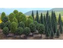 BUSCH 6591 ALBERI 30 PEZZI ASSORTITI N Modellino