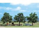 BUSCH 6651 ALBERI 3 PEZZI mm 110  HO Modellino