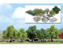 BUSCH 6807 ALBERI DA COSTRUIRE 5 PEZZI HO Modellino