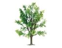 BUSCH 8601 ALBERO  cm.28 Modellino
