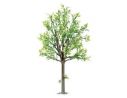 BUSCH 8602 ALBERO  cm.35 Modellino