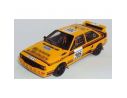 Trofeu 1624 AUDI QUATTRO RALLY 1000 PISTES 1/43 Modellino