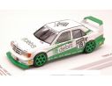 True Scale Miniatures TSM124348 MERCEDES 190E EVO2 N.19 DTM 1991 R.ASCH 1:43 Modellino