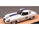 Tecnomodel TMDEX57A JAGUAR E TYPE N.14 RETIRED LM 1963 HANSGEN-PABST ED.LIM.PCS 40 1:43 Modellino