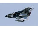 Italeri IT2668 TORNADO IDS BLACK PANTHERS KIT 1:48 Modellino