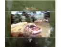 Trofeu TFCAT2010 CATALOGO TROFEU 2010 PAG.26 Modellino