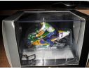 Onyx M024 HONDA NSR V4 TEAM PILERI BARROS 96 Modellino