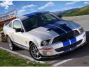 Revell RV7243 SHELBY GT 500 KIT 1:25 Modellino