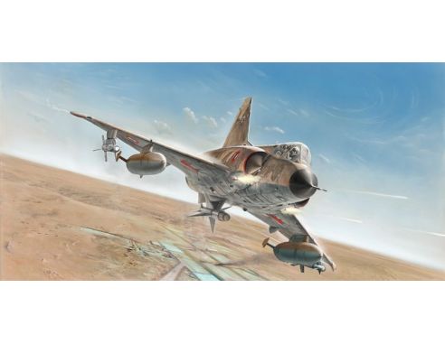 Italeri IT2505 MIRAGE III C DECALS x 6 VERSIONI INTERNI DETTAGLIATI  KIT 1:32 Modellino