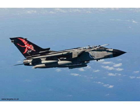 Hasegawa HG02049 TORNADO IDS ITALIANA A.F. KIT 1:72 Modellino