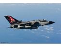 Hasegawa HG02049 TORNADO IDS ITALIANA A.F. KIT 1:72 Modellino
