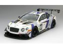 True Scale Miniatures TSM151837R BENTLEY GT3 N.200 BRITISH GT GENERATION BENTLEY RACING 2014 1:18 Modellino