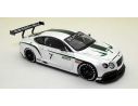 True Scale Miniatures TSM134301 BENTLEY CONTINENTAL GT3 2012 CONCEPT RACE CAR PEARL 1:43 Modellino