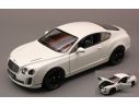 Welly WE4474 BENTLEY CONTINENTAL SUPERSPORTS 2010 WHITE 1:24 Modellino
