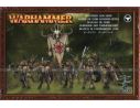 Games Workshop Warhammer 81-08 BRANCO DI UOMINI BESTIA GOR Personaggi Citadel