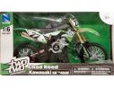 New Ray NY49493 KAWASAKI KX 450F CHAD REED 2014 1:6 Modellino