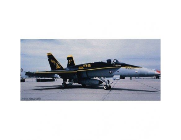 HASEGAWA F/A 18C HORNET F/A-18E SUPER HORNET VFA-115 EAGLES HISTORY 1:72 KIT