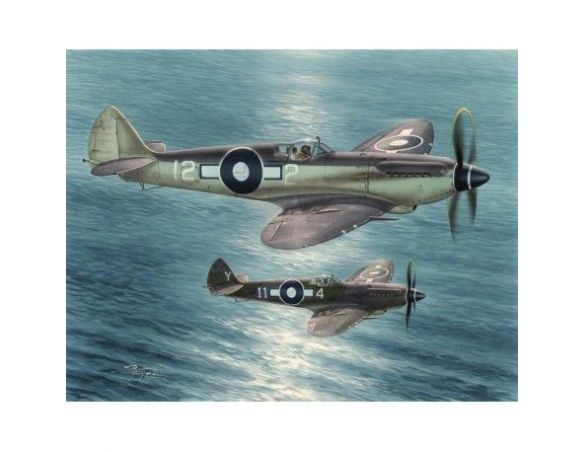 SPECIAL HOBBY 48116 SUPERMARINE SEAFIRE F MK. XV FAR EAST SERVICE 1:48 KIT Modellino