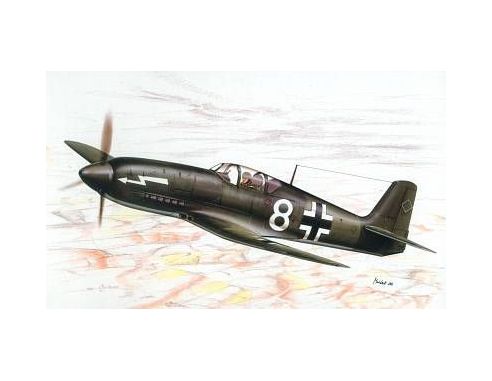 SPECIAL HOBBY 72115 HEINKEL 100D-0 PROPAGANDA JAGER 1:72 KIT Modellino