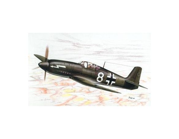 SPECIAL HOBBY 72115 HEINKEL 100D-0 PROPAGANDA JAGER 1:72 KIT Modellino