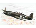 SPECIAL HOBBY 72115 HEINKEL 100D-0 PROPAGANDA JAGER 1:72 KIT Modellino