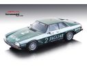 Tecnomodel TMD18107D JAGUAR XJS N.2 WINNER 500 KM DONINGTON 1984 W.PERCY-C.NICHOLSON 1:18 Modellino