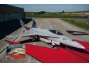 Italeri IT1429 F/A 18 HORNET SUISSE A.F./RAAF KIT 1:72 Modellino