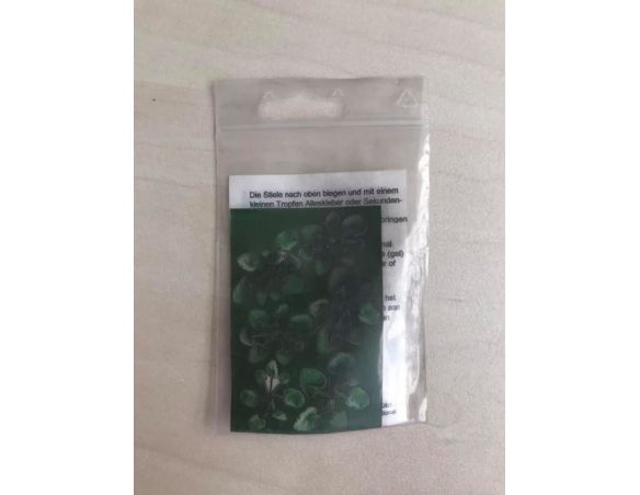 ER DECOR 380.021 - Pianta Butterbur 6 pezzi H0 Modellismo
