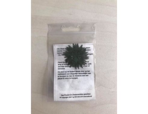 ER DECOR 380.025 - Pianta Felce 6 pezzi H0 Modellismo
