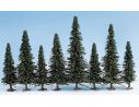 Noch 26320 25 Alberi Abeti 10 - 15 cm Modellino