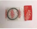 SM Racing 3515 Cinghia Dentata Ricambi Accessori Modellino