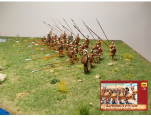 Zvezda Z8019 MACEDONIAN FALANGE KIT 1:72 Modellino