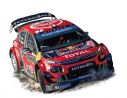Norev NV155366 CITROEN C3 WRC N.1 WINNER MONTE CARLO 2019 S.OGIER-J.INGRASSIA 1:43 Modellino